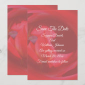 Roze wervelende Roos Flower Wedding Save The Date (Voorkant / Achterkant)