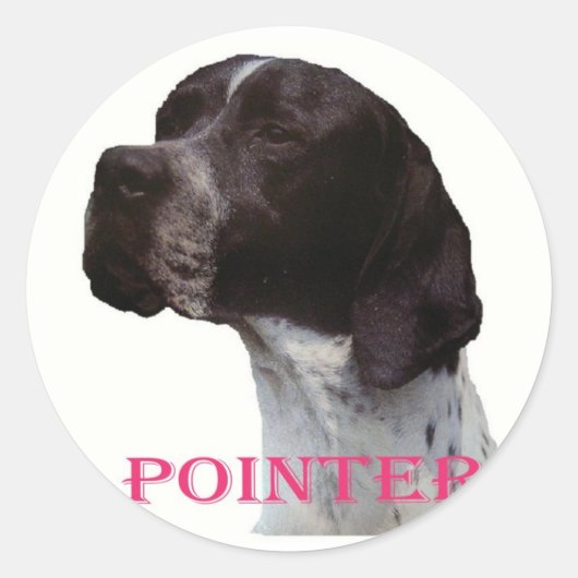 Roze wijzernaald sticker (Voorkant)
