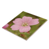 Roze Wild Geranium Tegeltje (Zijkant)