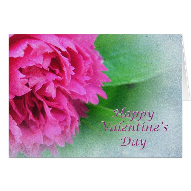 roze wild roos blij valentijnsdag (Voorkant Horizontaal)