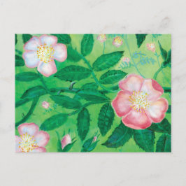 Roze Wild Roos Flowers Secret Garden Briefkaart