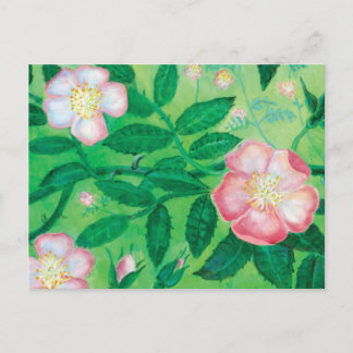 Roze Wild Roos Flowers Secret Garden Briefkaart