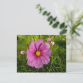 Roze Wildbloem Briefkaart (Staand voorkant)