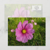 Roze Wildbloem Briefkaart (Voorkant / Achterkant)