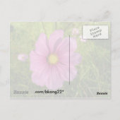 Roze Wildbloem Briefkaart (Achterkant)