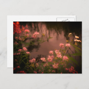 Roze Wildbloemen  Kijk Bloem Briefkaart