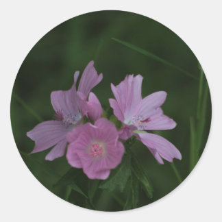 Roze Wildbloemen tussen het gras Ronde Sticker