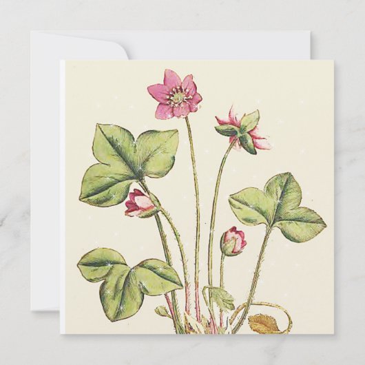 Roze Wilde Bloem Botanische  Diner Uitnodigingen (Achterkant)