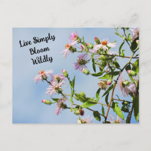 Roze Wilde Bloem op Blauwe Citaat Briefkaart