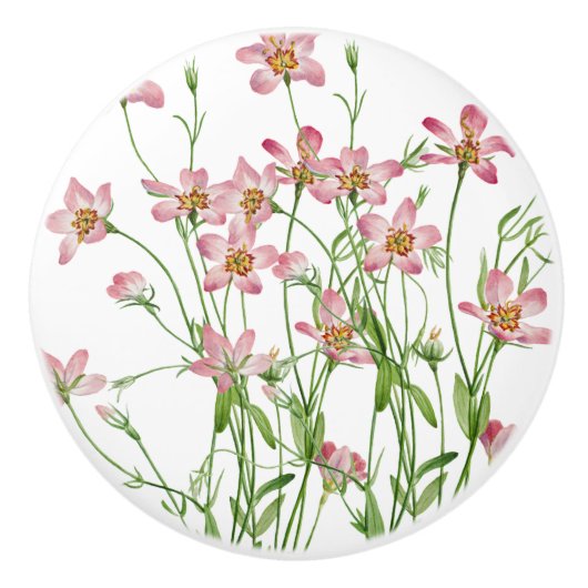 Roze Wilde Bloem Trekknop Keramische Knop (Voorkant)