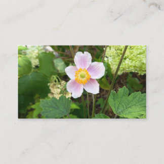 Roze Wilde Bloem Visitekaartje | Botanische Bloem