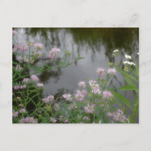 Roze wilde bloemen bij Brook Natuur Briefkaart (Voorkant)