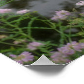 Roze wilde bloemen bij Brook Poster (Hoek)