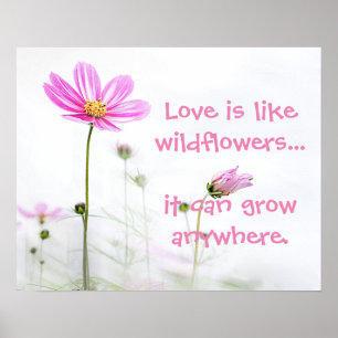 Roze wilde bloemen poster