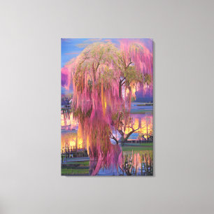 Roze wilde boom op zonsondergang door de vijver canvas afdruk