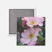Roze Wilde Roos Bloedbloem Foto Magneet (Voorkant / Achterkant)