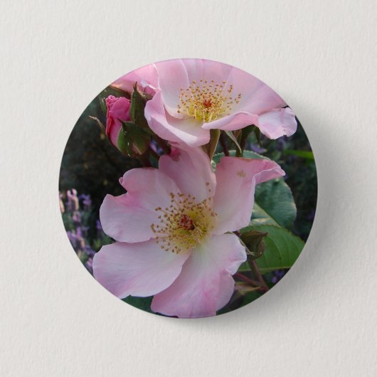 Roze wilde roos bloem bloem foto ronde button 5,7 cm (Voorkant)