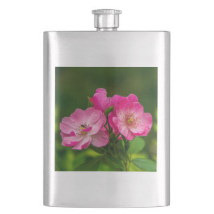 Roze wilde roos bloemen fotografie ontwerp-52654 flacon