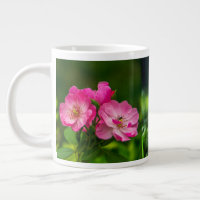 Roze wilde roos bloemen fotografie ontwerp-52654