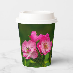 Roze wilde roos bloemen fotografie ontwerp-52654 papieren bekers