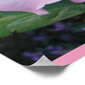 Roze Wilde Roos Kunst Floral Flowers Foto Poster (Hoek)