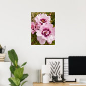 Roze Wilde Roos Rozen Bloementuin Poster (Thuiskantoor)