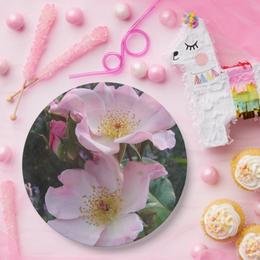 Roze Wilde Roos Vloerpatroonpapier Bord (Feest)