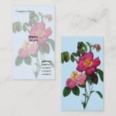 Roze wilde rozen bloem, Pierre Joseph Redouté Visitekaartje (Voorkant / Achterkant)