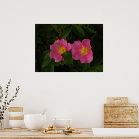Roze Wilde Rozen Bloemen Foto Poster (Keuken)