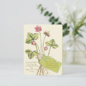 Roze, wilde ventilator Botanische dinerinjecties Kaart (Staand voorkant)