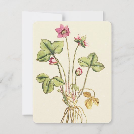 Roze, wilde ventilator Botanische dinerinjecties Kaart (Achterkant)