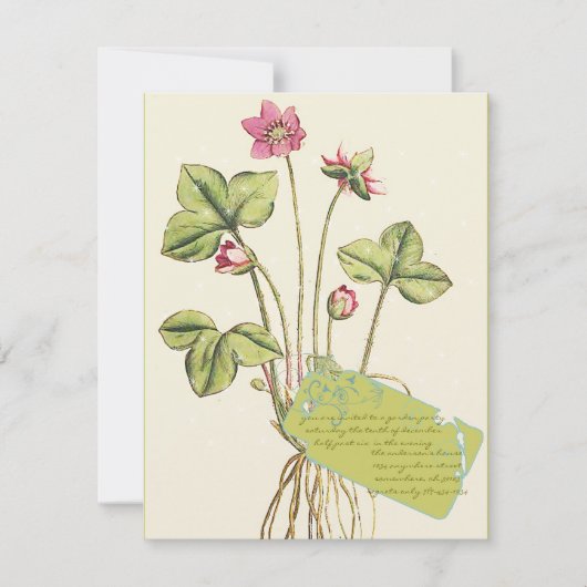 Roze, wilde ventilator Botanische dinerinjecties Kaart (Voorkant)