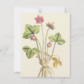 Roze, wilde ventilator Botanische dinerinjecties Kaart (Achterkant)