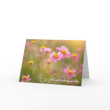 Roze Wildflower Daisies Sympathie