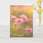 Roze Wildflower madeliefjes in een veld Kaart (Gele Bloem)