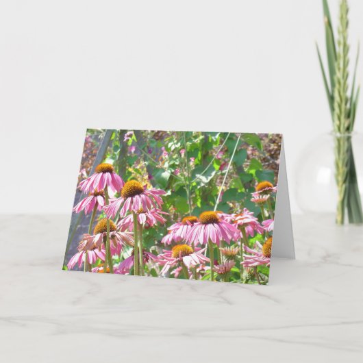 Roze Wildflowers Kaart (Voorkant)