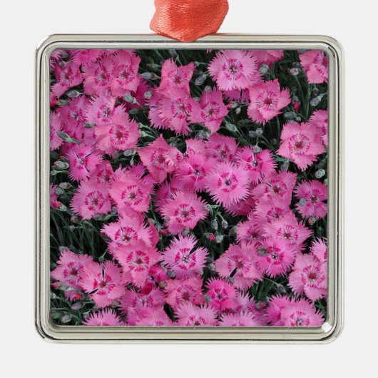 Roze william bloemen metalen ornament (Voorkant)