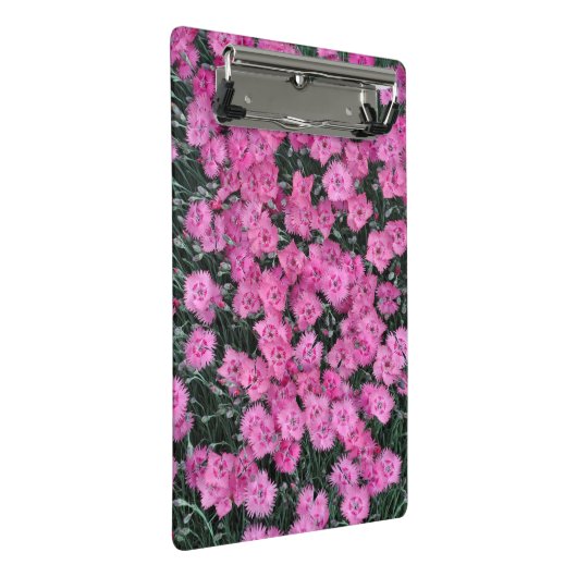 Roze william bloemen mini klembord (Schuin)