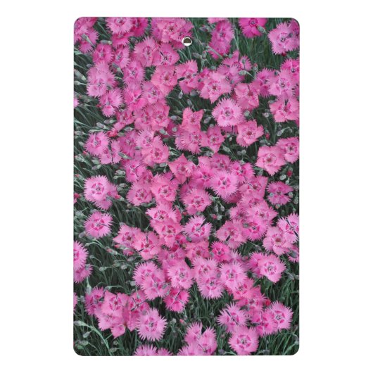 Roze william bloemen mini klembord (Achterkant)