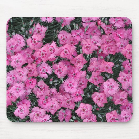 Roze william bloemen muismat (Voorkant)