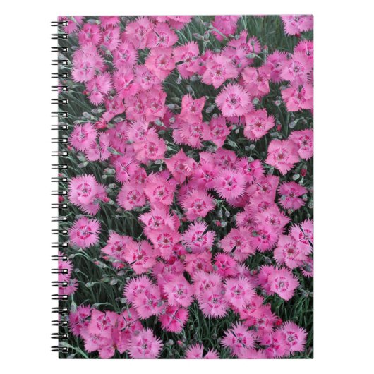 Roze william bloemen notitieboek (Voorkant)
