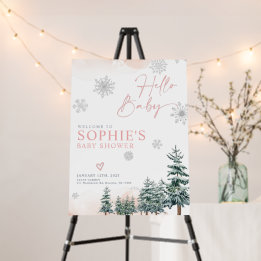 Roze Winter Baby Shower Ontvangstbord