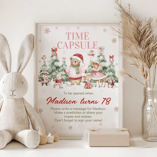Roze Winter Bos Geboortetijd Capsule Bord Poster