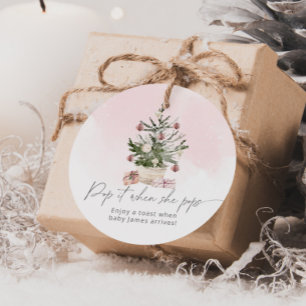 Roze Winter Knal het als ze ploft baby shower Bedankjes Labels