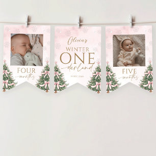 Roze Winter Onederland 1e Verjaardag Maandelijkse  Vlaggetjes