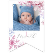 roze Winter Wonderland foto slinger banner (Tweede vlag)