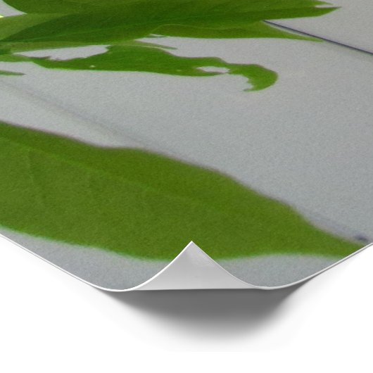 Roze Wisteria ~ print (Hoek)