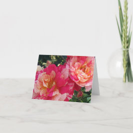 Roze Wit Gestreepte Rozen Blank Foto Art Note Kaar Kaart