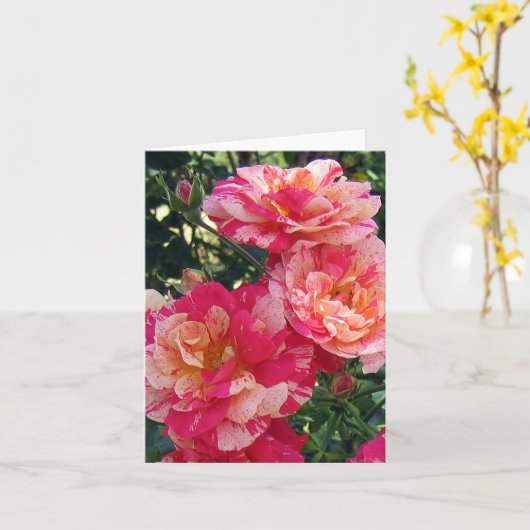 Roze Wit Gestreepte Rozen Blank Foto Art Note Kaar Kaart (Gele Bloem)