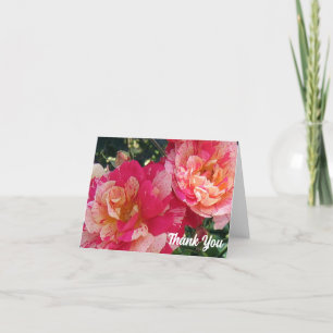 Roze Wit Gestreepte Rozen Dank u Nota Kaart